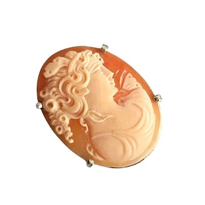 May include: An oval-shaped brooch featuring a carved shell cameo of a profile portrait. The relief depicts a figure with wavy hair set against a warm, peach-colored background. The cameo is secured within a simple silver-toned metal frame.