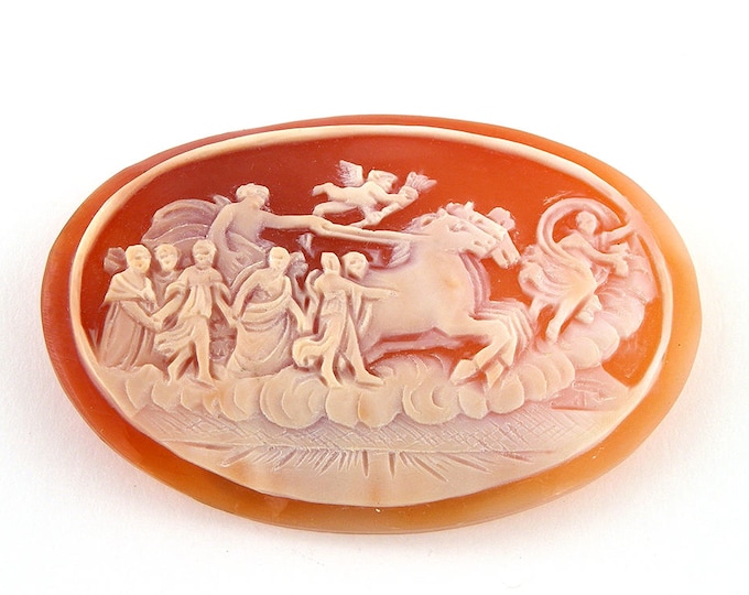 Shell cameo Dionysus chariot italian cameos donadio cameo shell carnelian cameo camée lâche ルーズカメオ свободная камея camafeo flojo