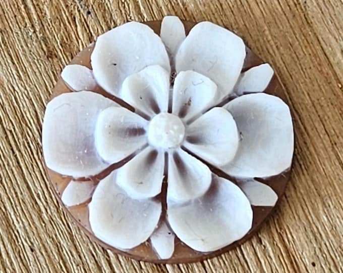 Loose sardonyx shell flower cameo - italian cameo jewelry - donadio cameo  camafeo flojo