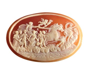 Cammeo in conchiglia di corniola: carro di Dioniso, stile neoclassico italiano (50 mm)