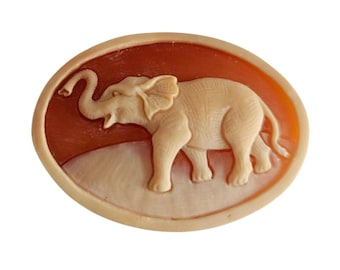 Cammeo in conchiglia di Corniola intagliato a mano: design elefante, 40 mm