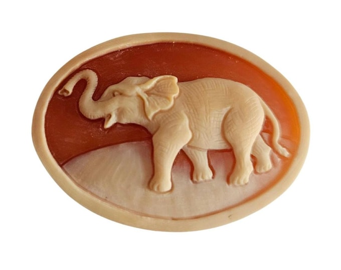Cammeo in conchiglia di Corniola intagliato a mano: design elefante, 40 mm