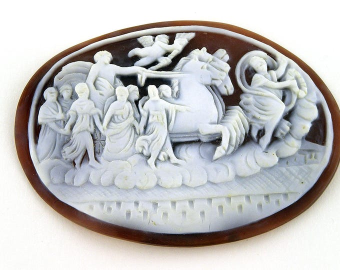Sardonic shell cameo Dionysus chariot italian cameos donadio cameo shell sardonyx cameo camée lâche ルーズカメオ свободная камея camafeo flojo