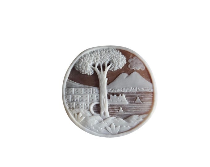 Cammeo di conchiglia Napoli Vesuvio english cameo gioielli donadio cameo conchiglia sardonica cameo camée lâche camafeo flojo
