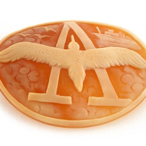 Concha cameo águila Un primer lletter italiano cameo joyería donadio cameos shell camée l'che' ééé '''''''''''''''''''''''''''''''''''''''''''''''''''''''''''''''''''''''''''''''''''''''''''''''''''''''''''''''''''''''''''