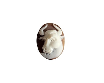 Hand Carved Taurus Shell Cameo: Sardonyx Italian Jewelry