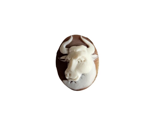 Loose shell cameo taurus italian cameo jewelry donadio cameo shell sardonyx cameo camée lâche ルーズカメオ свободная камея camafeo flojo gift