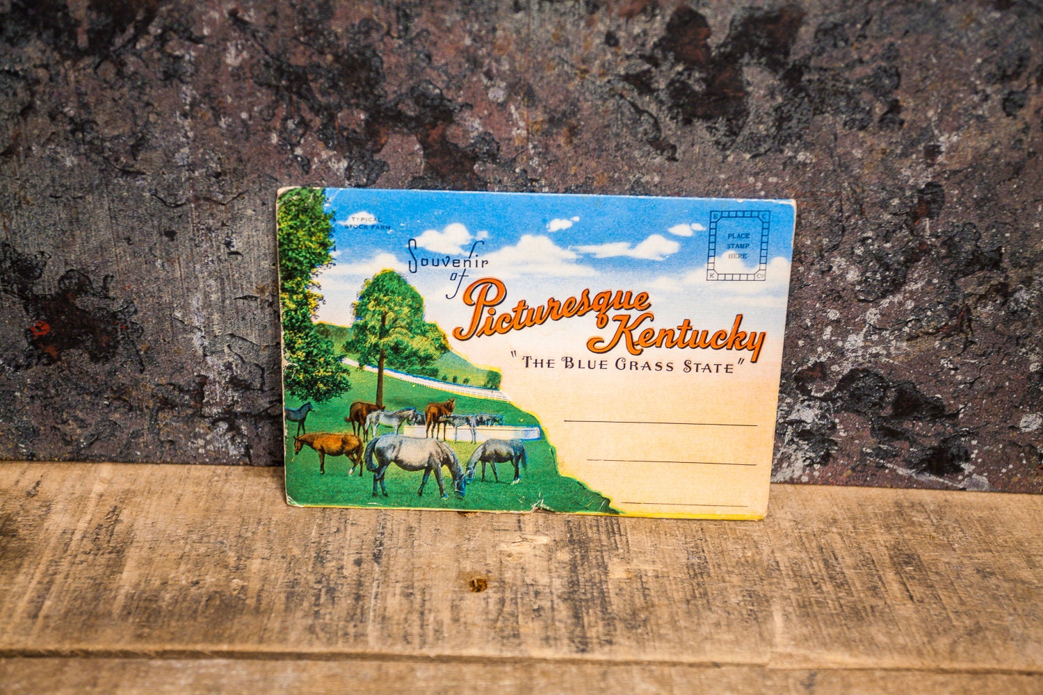 Vintage Picturesque Kentucky Souvenir Postcard Booklet Travel Souvenir