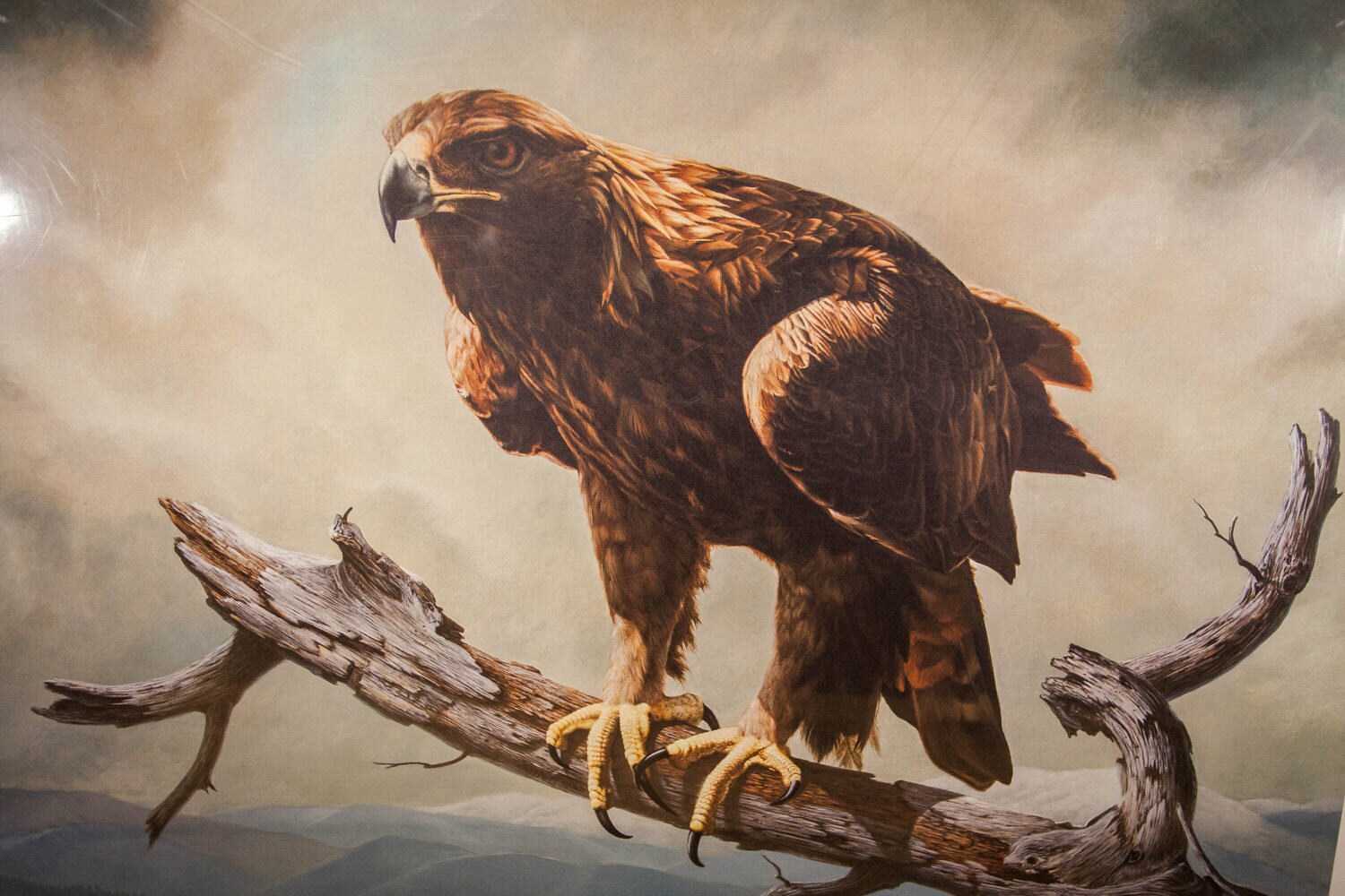 Vintage charles frace golden eagle signed limited edition print plate
