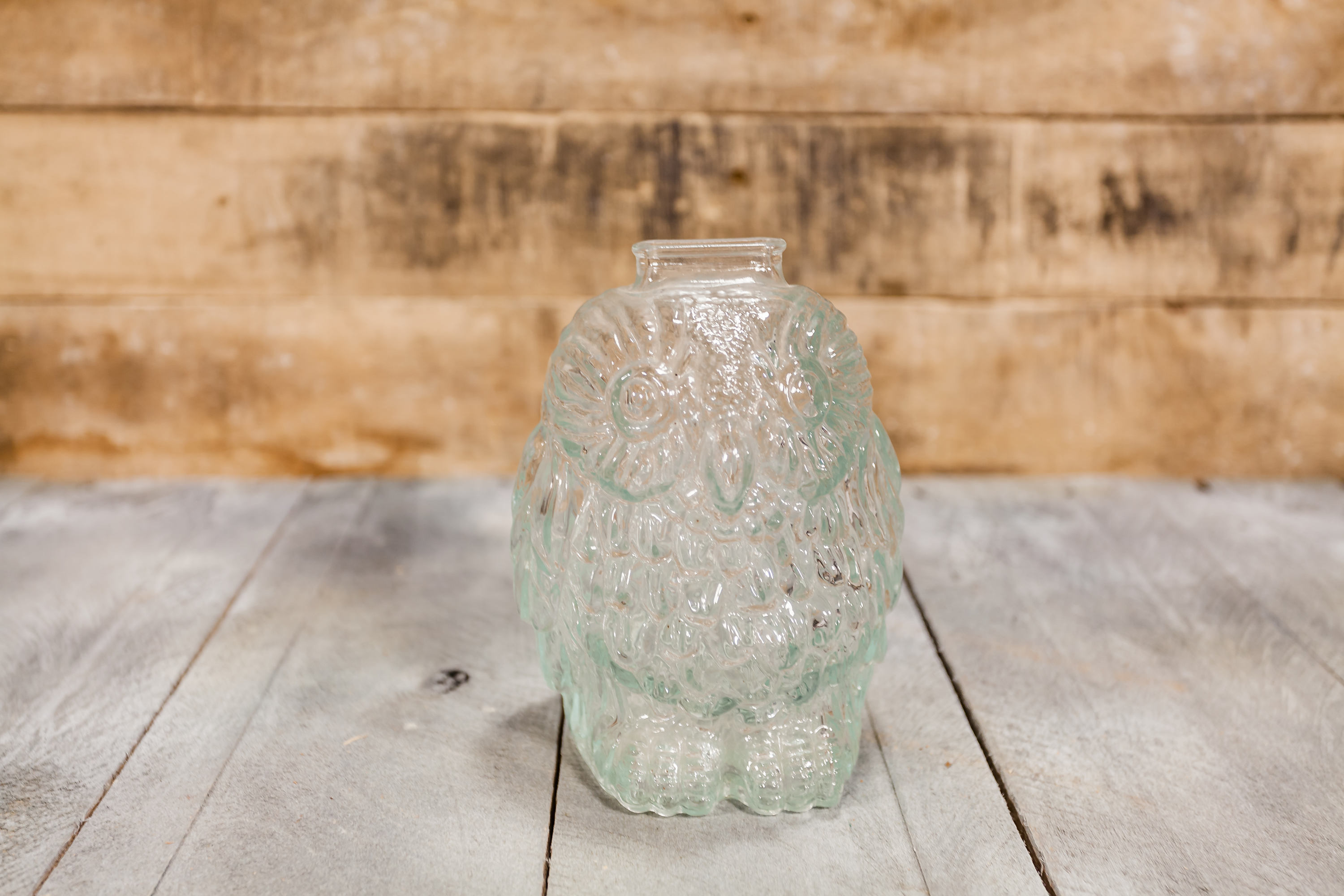 Vintage Wise Old Owl Glass Bank Kids Decor Nursery Room