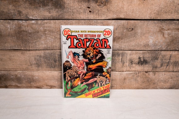 Vintage 1970s Tarzan #221 Comic Book DC Collectable Comic Book