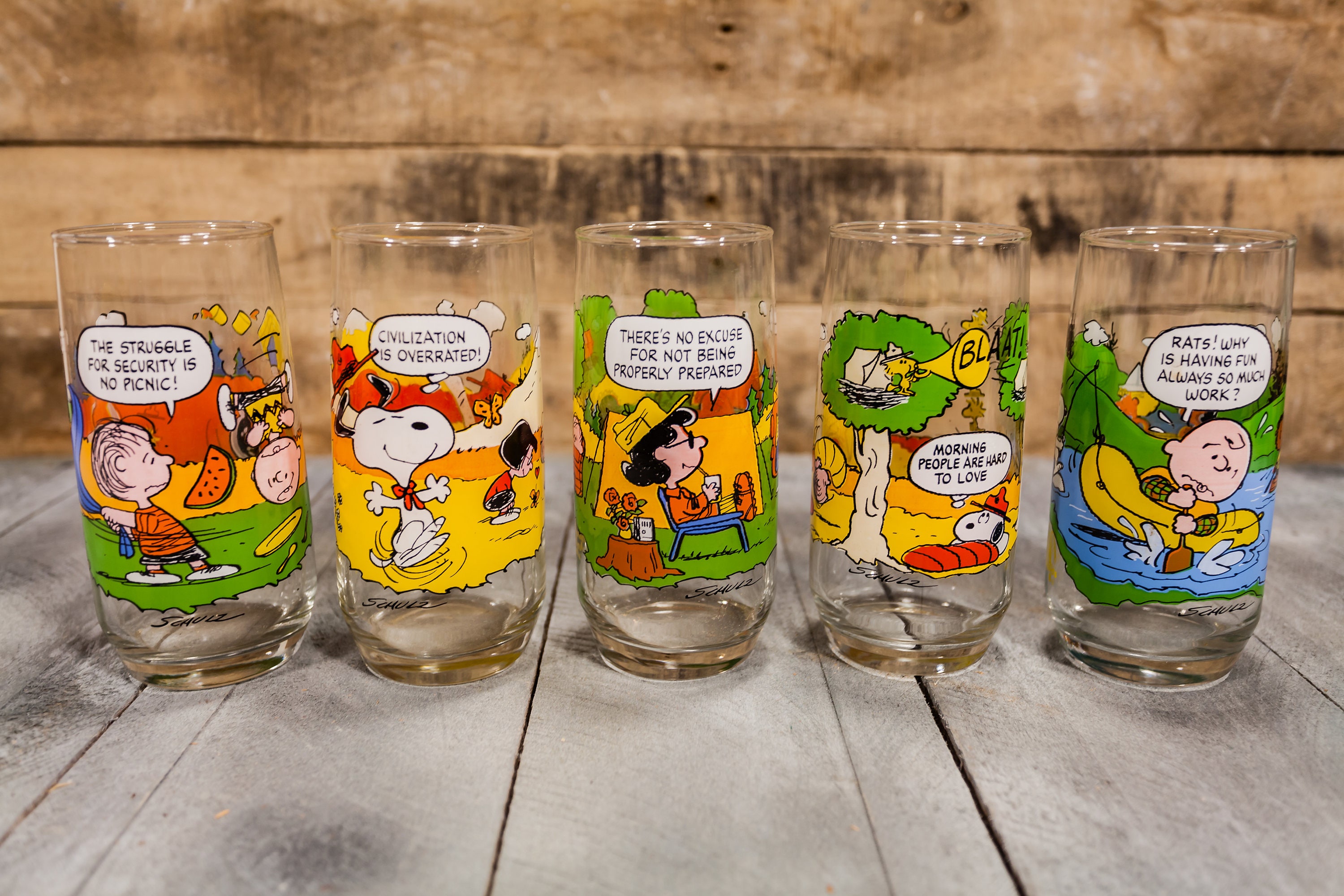 McDonald's Camp Snoopy Peanuts Collection Set of 5 Charlie Brown Vintage Glasses 