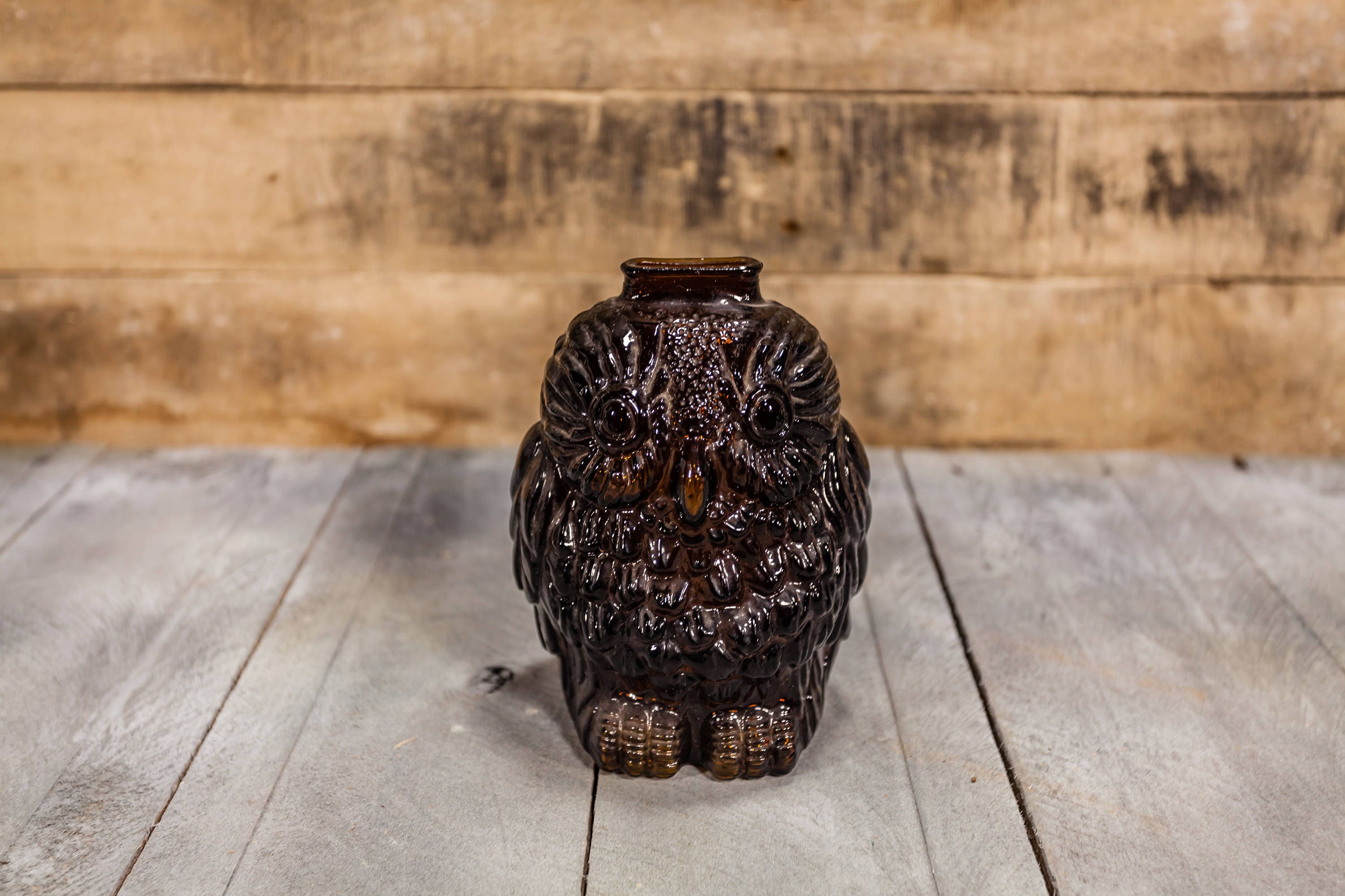 Vintage Wise Old Owl Glass Bank Kids Decor Nursery Room