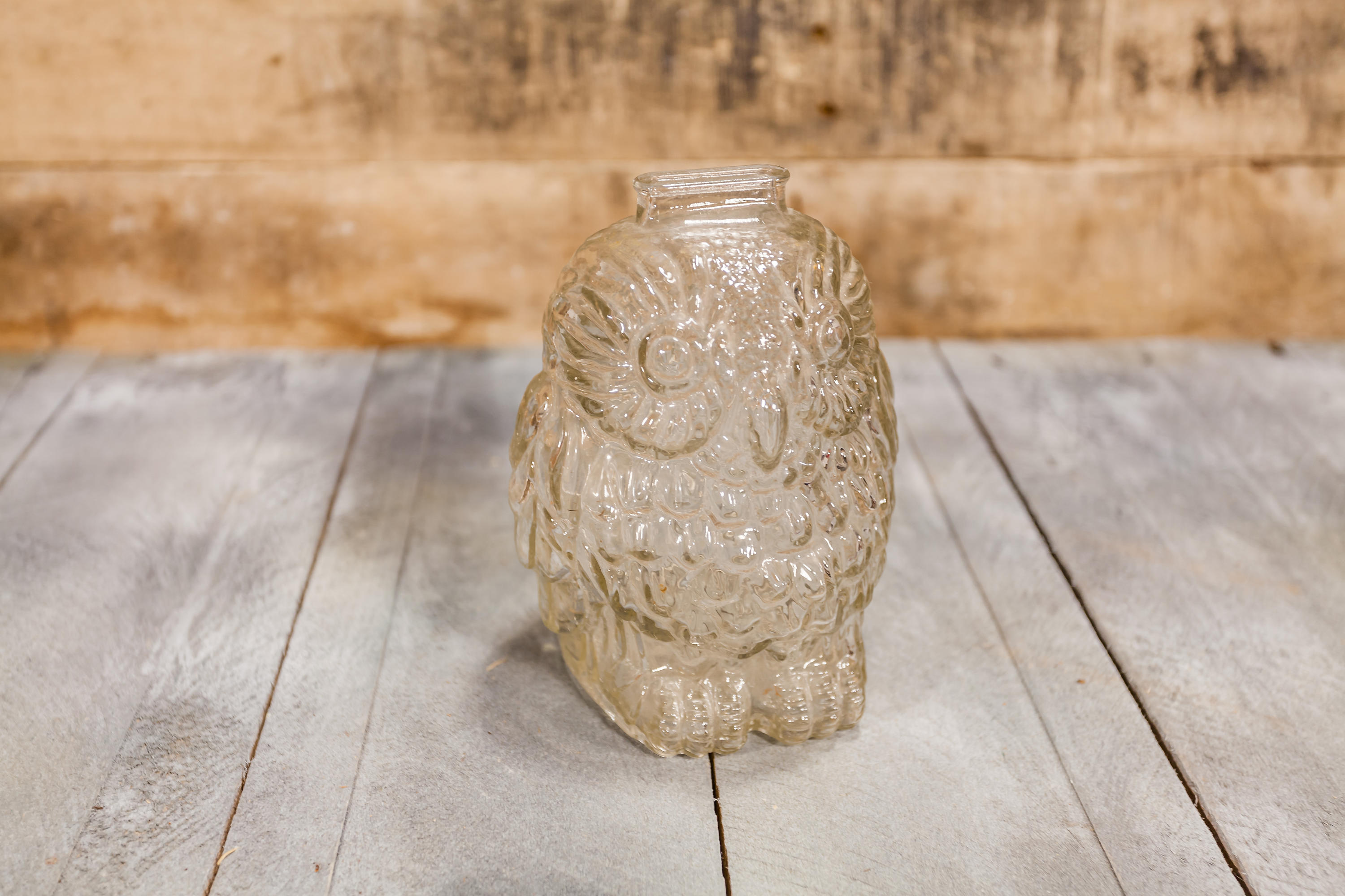 Vintage Wise Old Owl Glass Bank Kids Decor Nursery Room