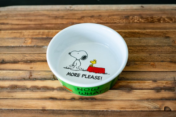 Vintage Peanuts Dog Dish Snoopy and Woodstock Bowl Pet Bowl