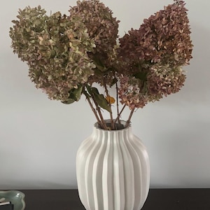 Dried Hydrangeas