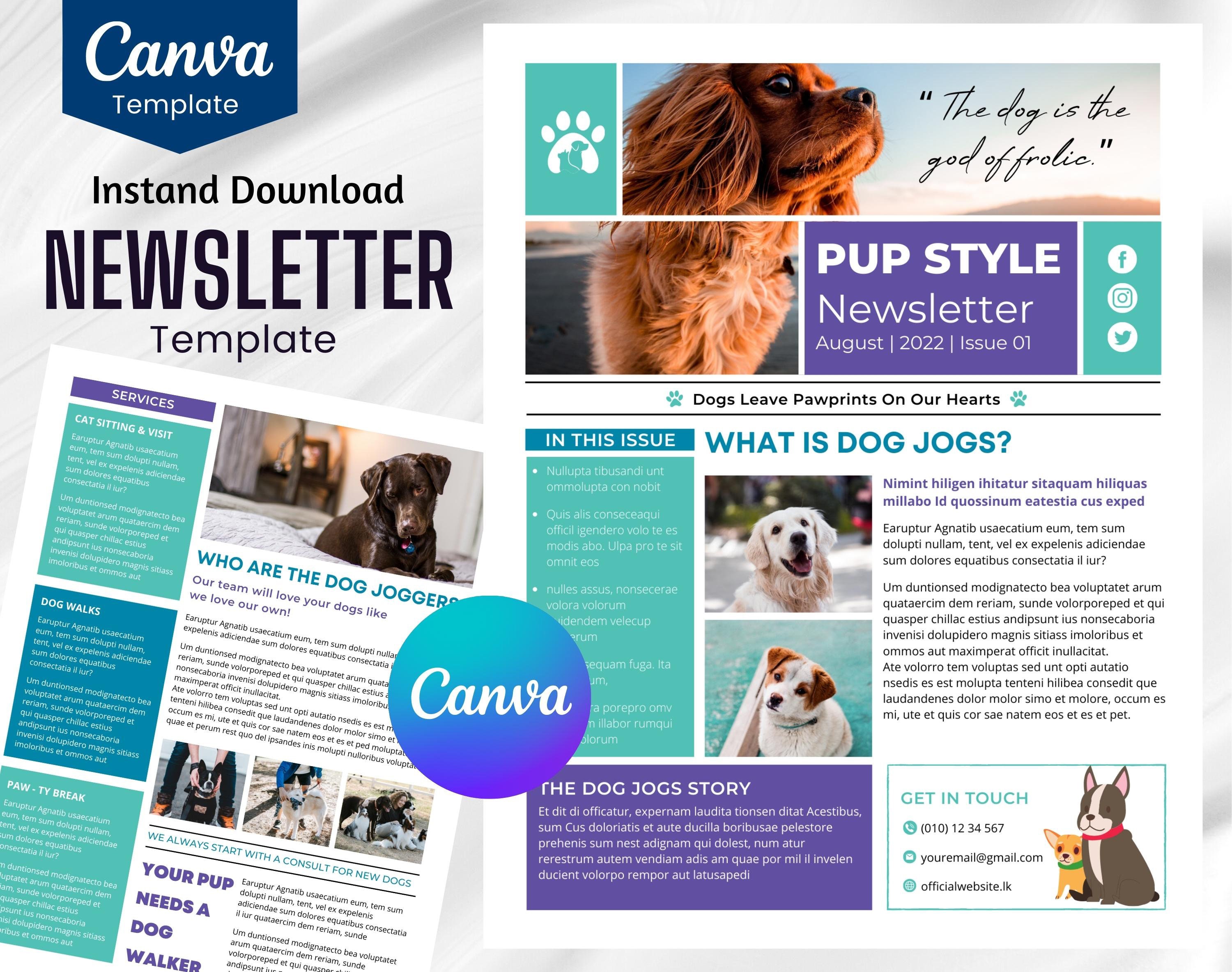 Pet Care Email NEWSLETTER TEMPLATE Editable on Canva, Digital and Printable Instant Download Canva Newsletter Template for Email Marketing
