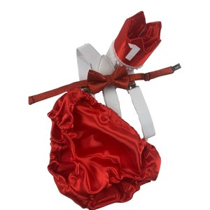 1st Birthday boy cake smash bow tie suspenders outfit 12 mo Red White LOVE Valentine day Bow, bloomers, shorts,diaper cover