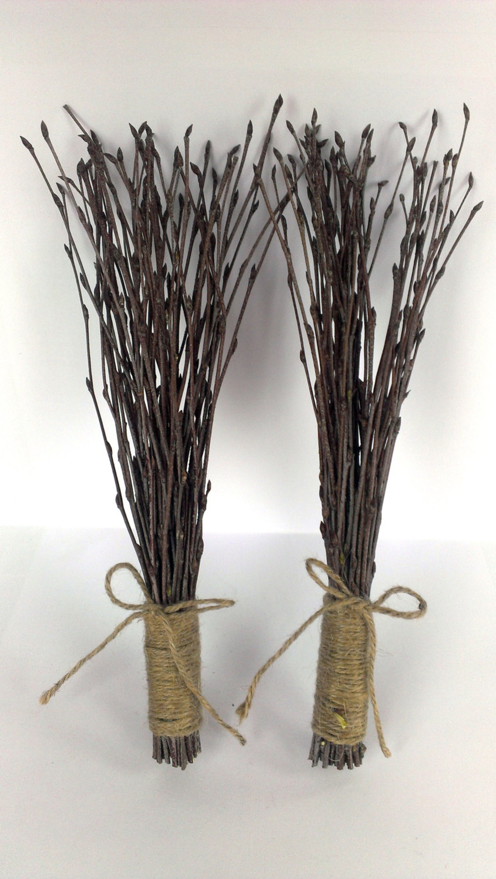 100 Pc.twigs, 2 Bundles of Birch Twigs, Birch Bark Wedding Decor, Birch