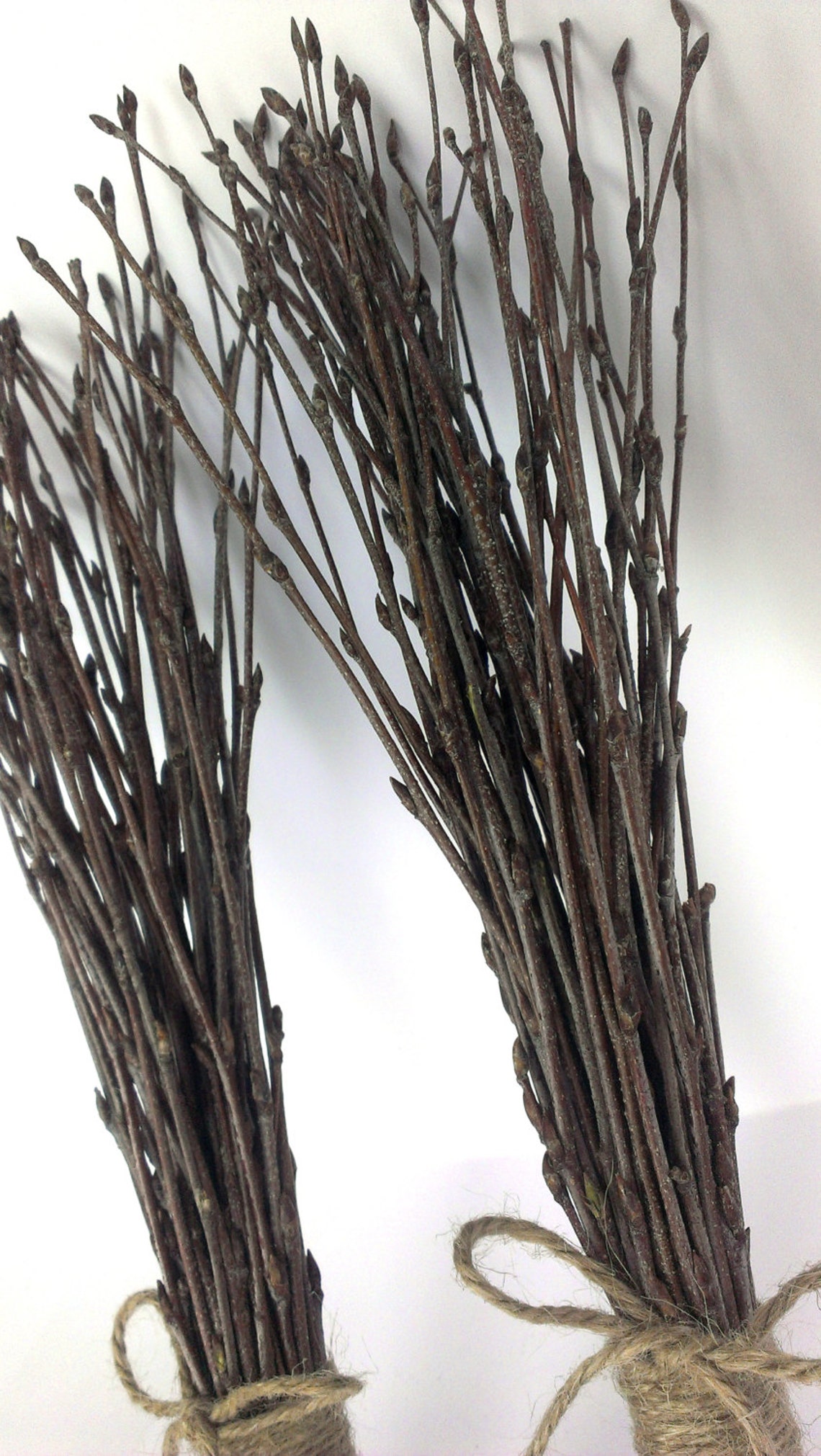 100 Pc.twigs, 2 Bundles of Birch Twigs, Birch Bark Wedding Decor, Birch