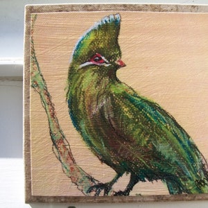 Knysna Loerie ArtTile, exotic bird decor, bird art, handmade bird art, loerie art, ceramic bird art
