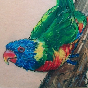 Rainbow Lorikeet NoZoo Art Tile, colorful exotic bird art, loirikeet wall decor, ceramic rainbow lorikeet wall art