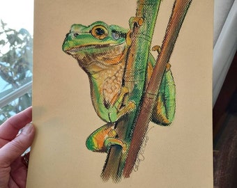 Frog Art,  Original Pastel Drawing