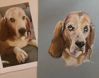 Dog portraits, Pet portrait, pastel dog portraits