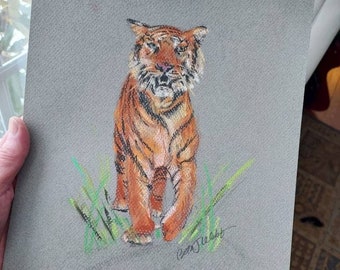 Tiger, Original Pastel Drawing