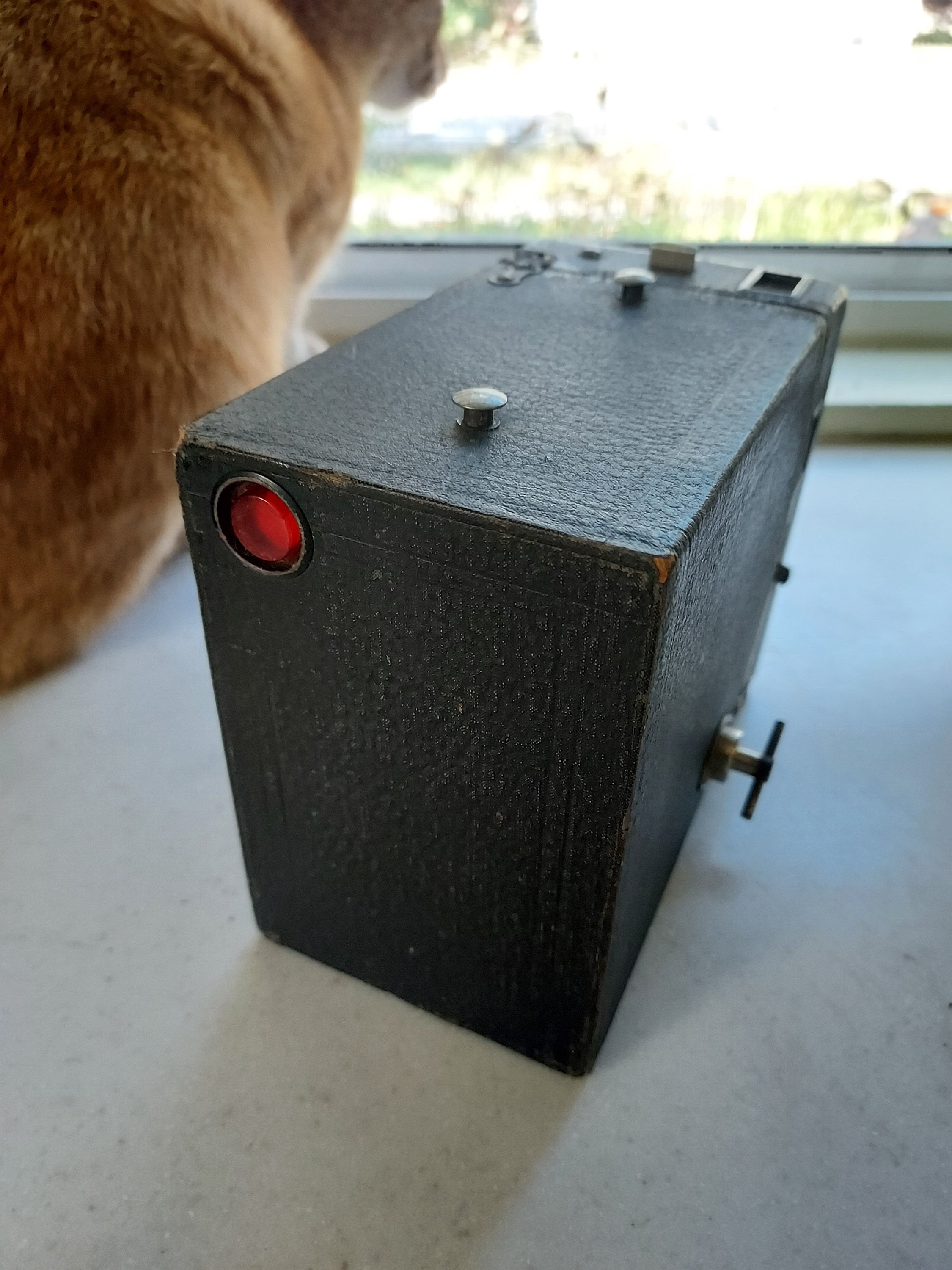 Vintage Box Camera From the 1920s - Etsy