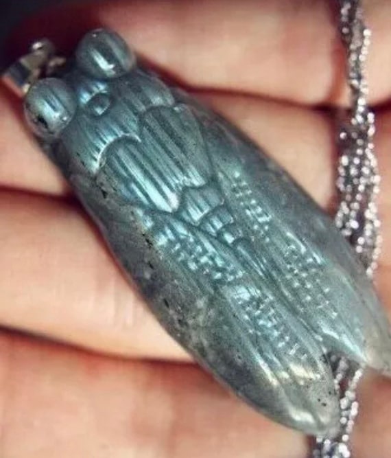 24g Labradorite Carved Cicada Necklace 