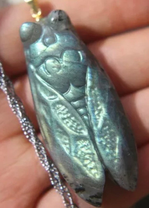 25g Labradorite Carved Cicada Necklace 
