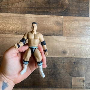 May include: A plastic action figure of a wrestler wearing a black wrestling outfit with white and blue accents. The figure has a muscular build and is posed in a fighting stance.