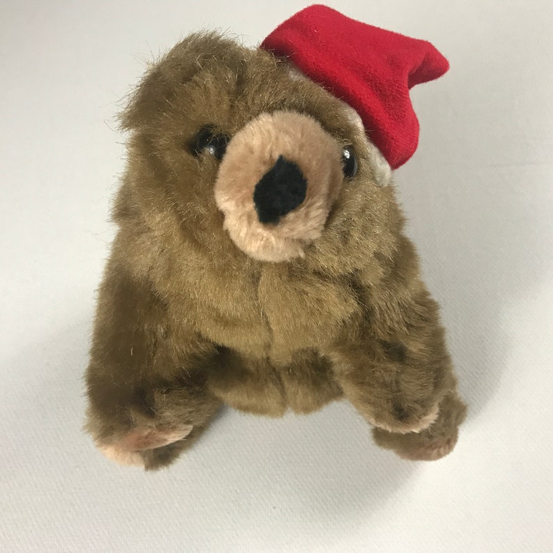 teddy bear with santa hat