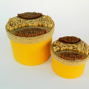 Cajas de cartón con tapa, juego de 2, vintage, amarillas, para guardar cosas, decorativas, para cocina, estilo rústico, natural.