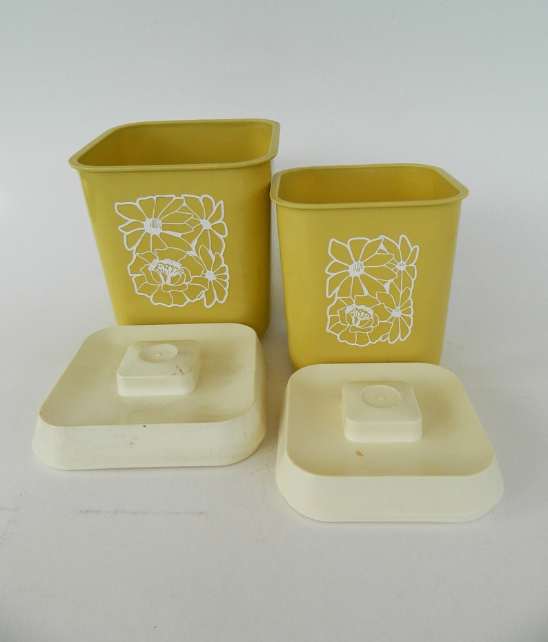 Set of Two American Plastic Canisters, Rustic Kitchenware, Vintage