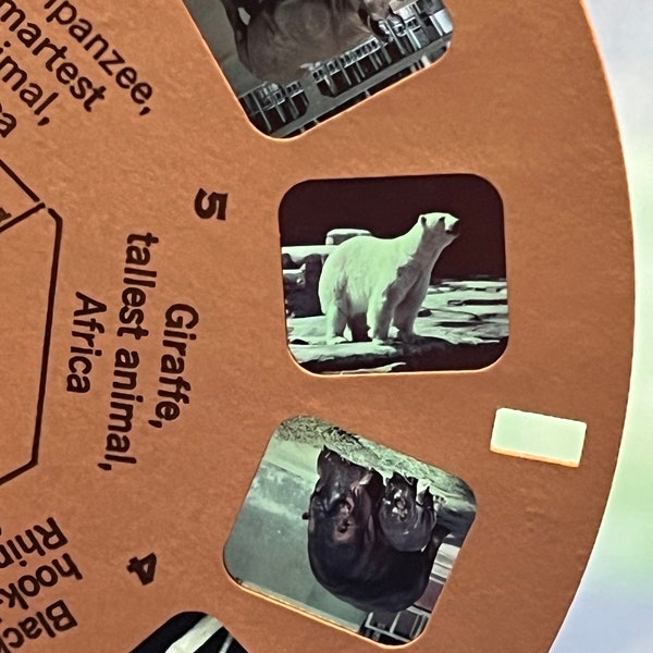 Vintage B614 1970's World of Science-Wild Animals of the World GAF View Master Reels