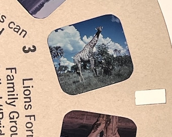 Vintage B618 Wild Animals of Africa GAF View Master Reels-Set B