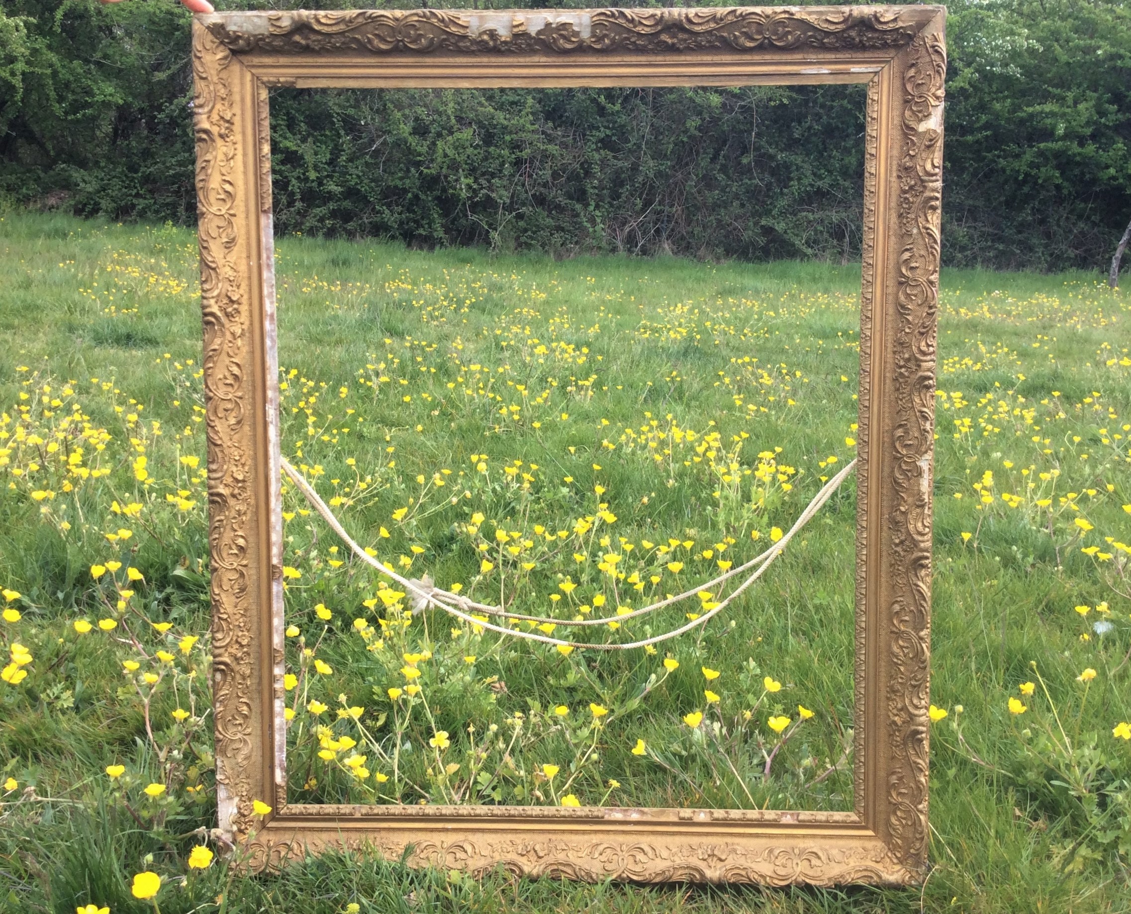 Cadre Antique d'image, Un Grand Cadre Orné Français Or