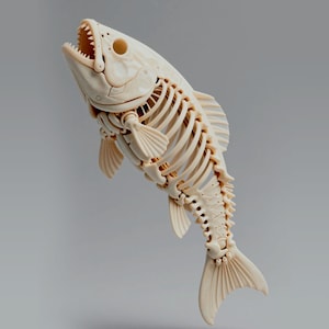 以下が含まれることがあります： 口を開け、歯が見える、オフホワイトの魚の骨格彫刻。彫刻は、複雑な骨格構造を示す、関節のあるひれと尾が特徴です。魚は、中立的な灰色の背景に対して、上向きに泳いでいるかのようにポーズをとっています。