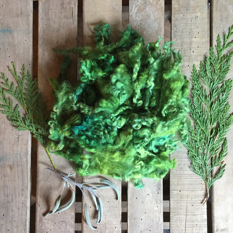 Crafting Supply 2 ounces Art Yarn Fiber Doll Hair EVERGREEN Wool Fleece Dorset Wool Locks Needle Felting Earthy Green