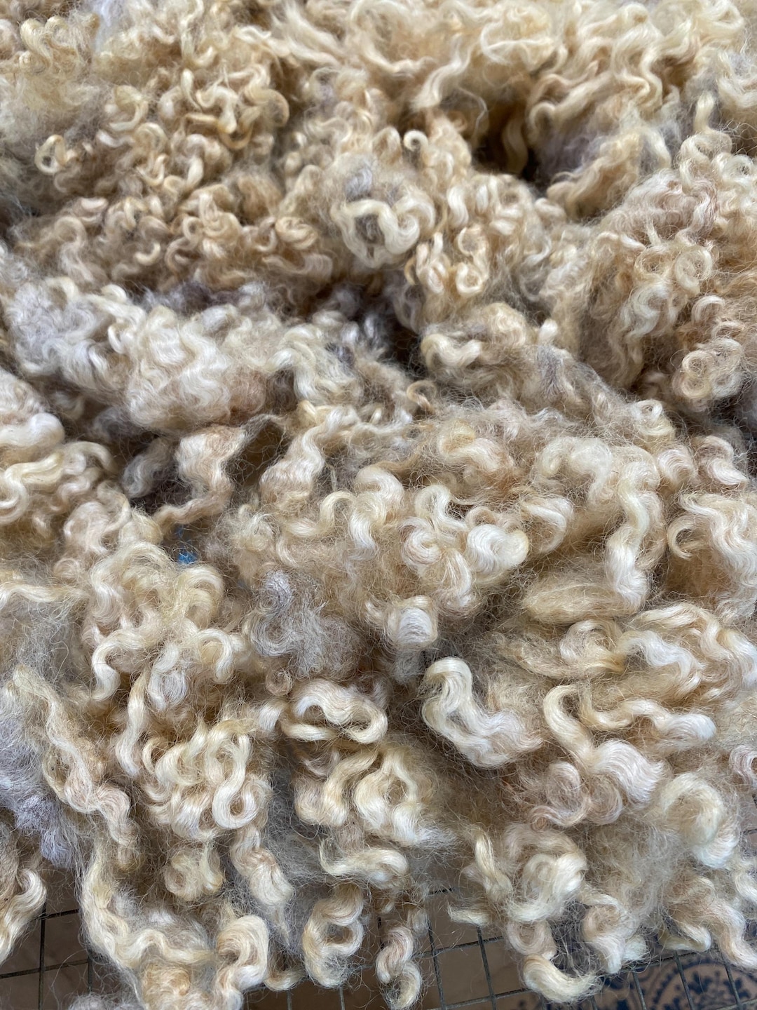 Natural Colored Coopworth Wool Fleece, Washed, Partly Cotted Fiber for ...