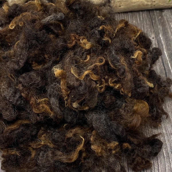 BFL/Romney Lamb Fleece, Fluffy wool locks to needle felt, card, spin, deep natural colored lambswool, clean, ready to use, 3 ounces