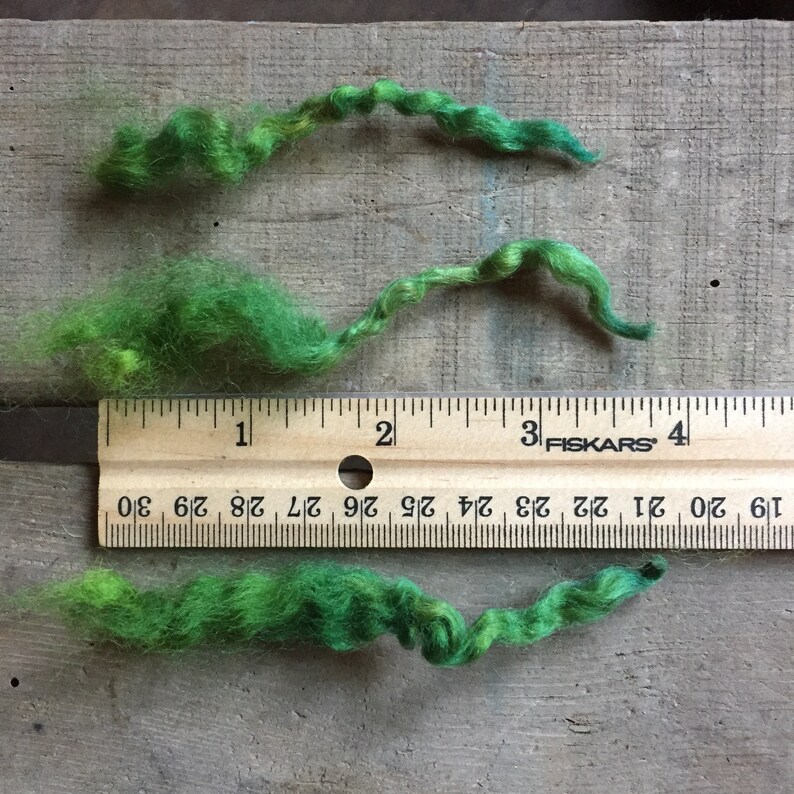Crafting Supply 2 ounces Art Yarn Fiber Doll Hair EVERGREEN Wool Fleece Dorset Wool Locks Needle Felting Earthy Green