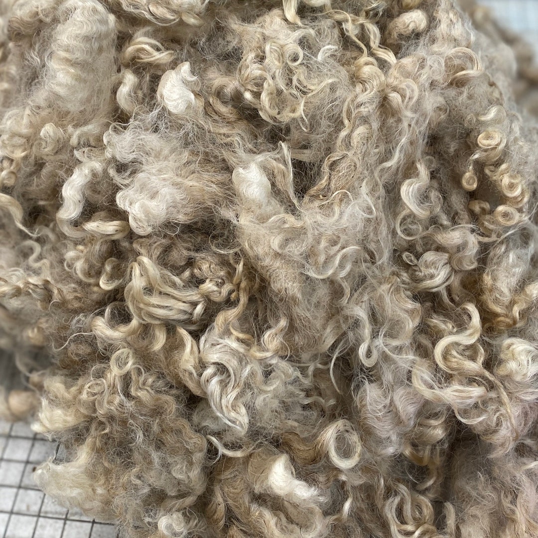 Raw Mohair Fleece, Unwashed Mohair From Blue, Natural White Mohair