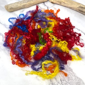 May include: A collection of loose, curly wool locks in a vibrant rainbow of colors including red, orange, yellow, green, blue, and purple. The fibers are textured and spiraled, arranged in a circular cluster with a natural wood branch above.