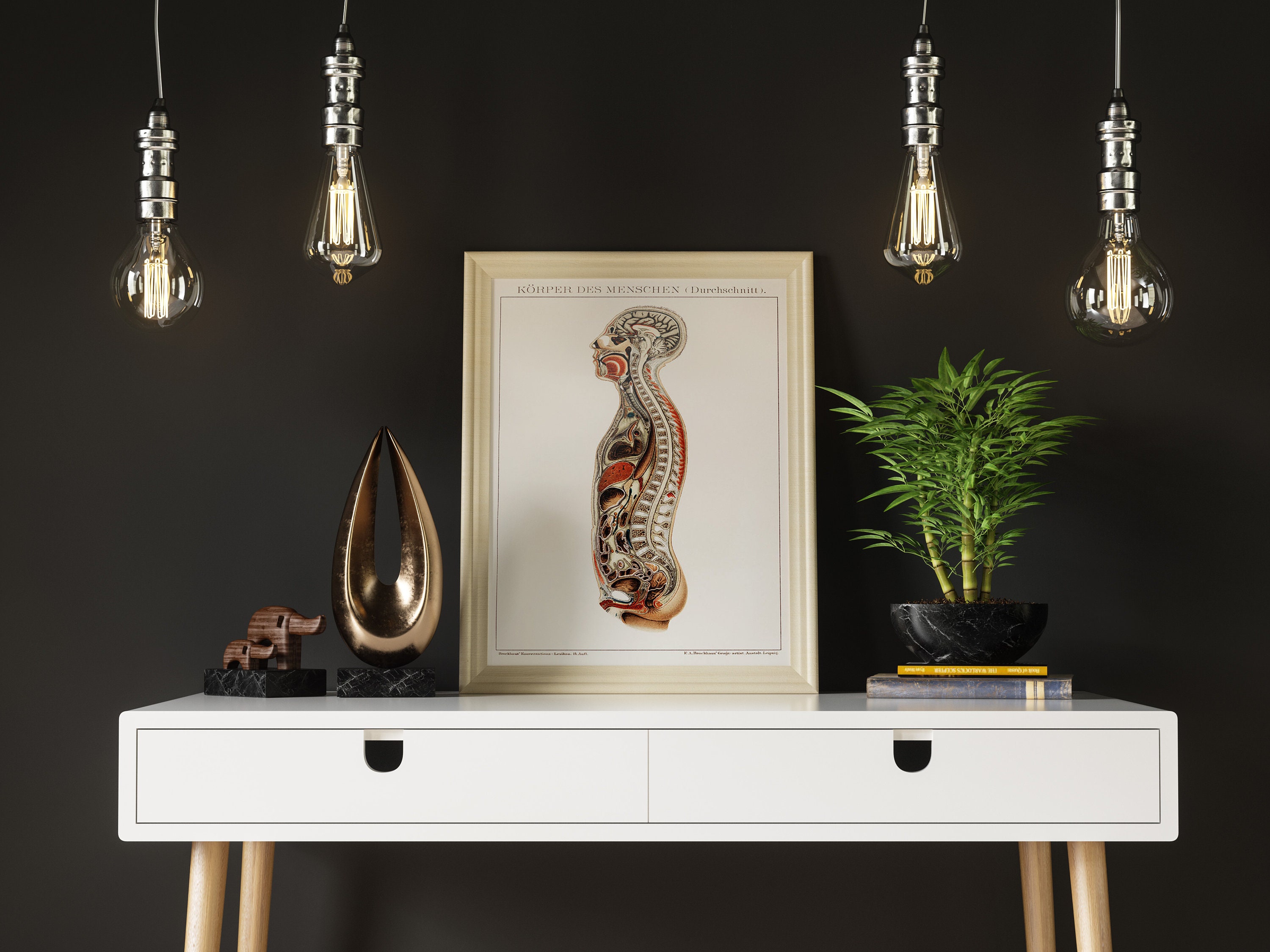 Human Anatomy Poster Medical Poster Anatomy Decor Medical Etsy