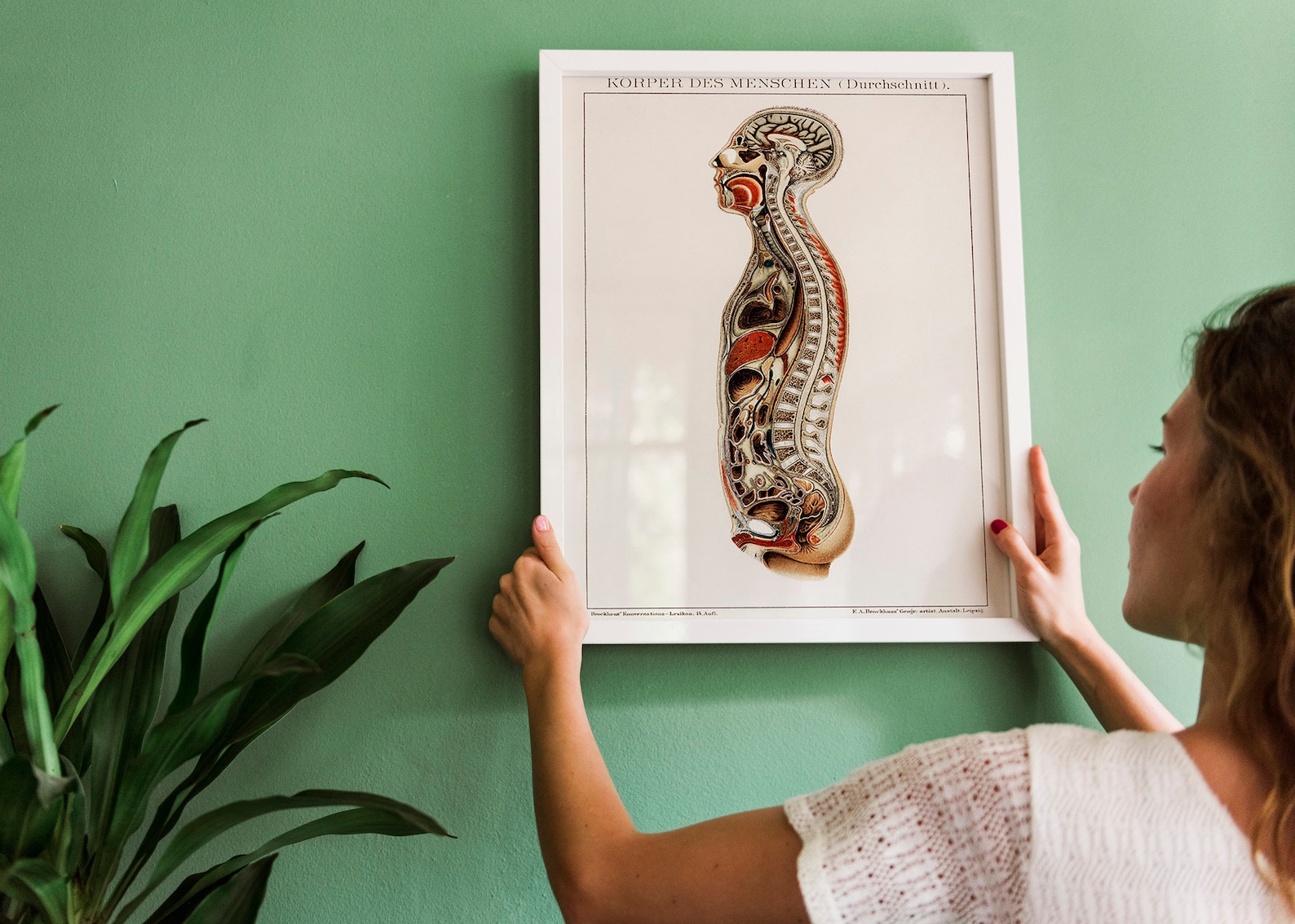 Human Anatomy Poster Medical Poster Anatomy Decor Medical Biology Diagrams