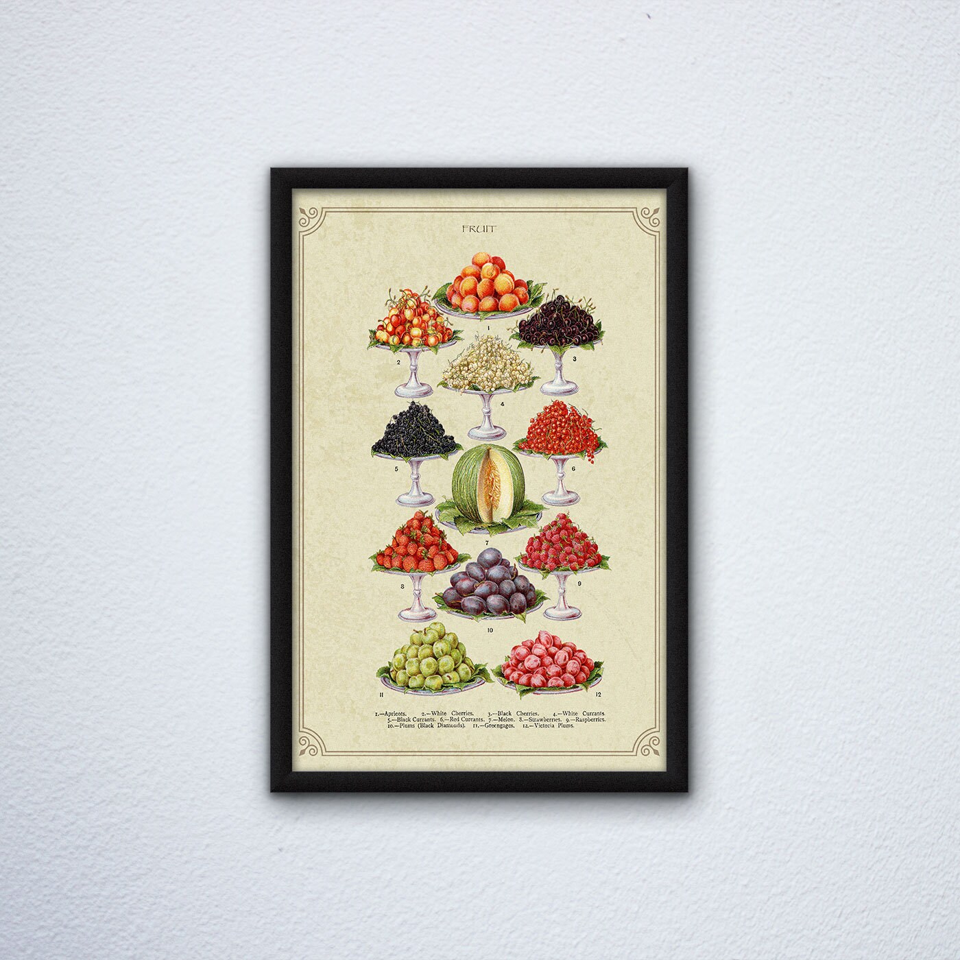 Vintage Kitchen Poster Showing Different Types of Fruit. Etsy