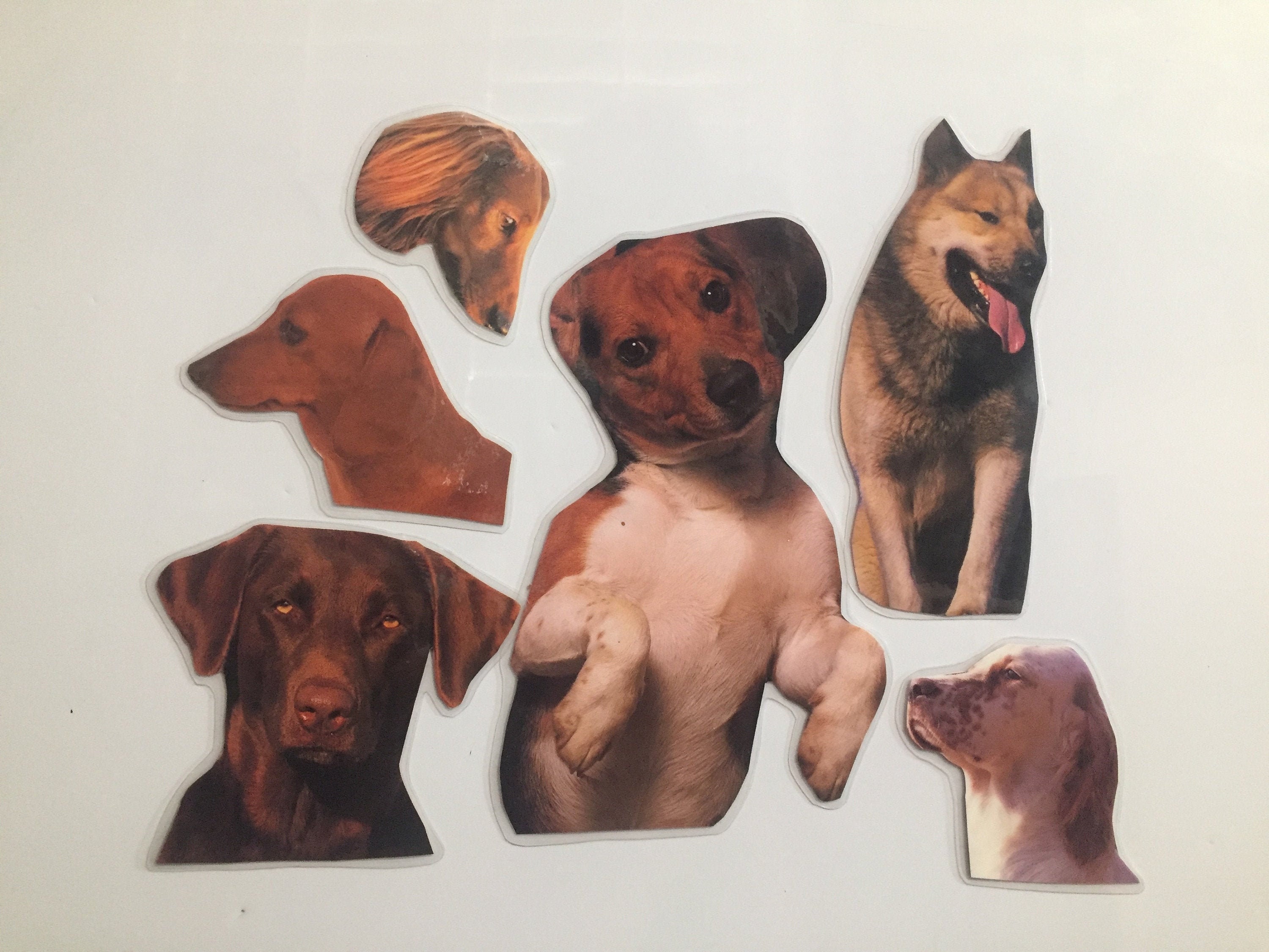 Magnets